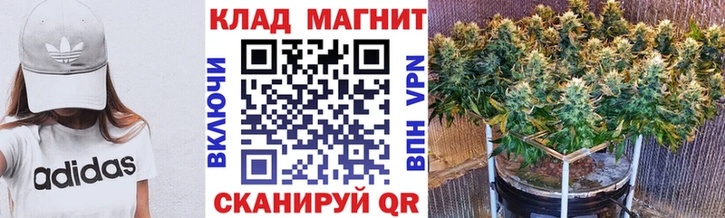 Купить закладку Псилоцибиновые грибы  Cocaine  Мефедрон  МАРИХУАНА  ГАШИШ  АМФ  Велиж