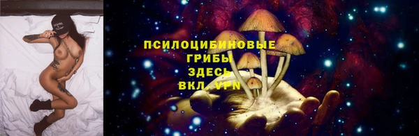 амф Кукмор