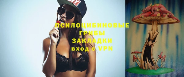 амф Кукмор