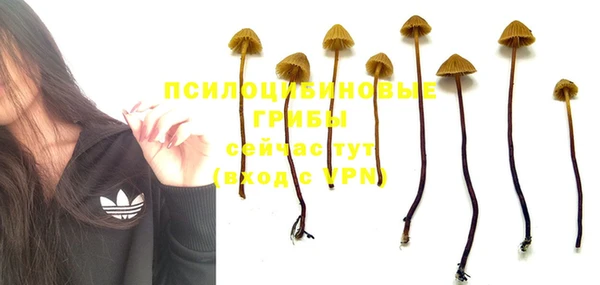 эйфоретик Кулебаки