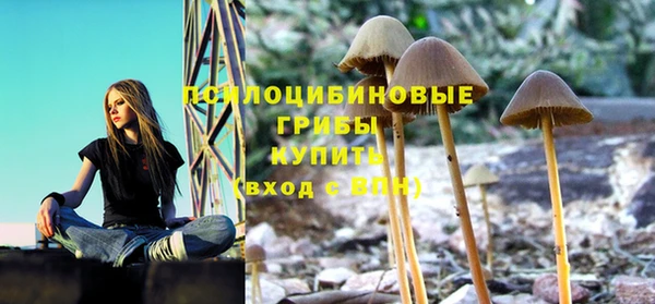 амф Кукмор